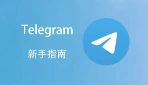 怎样用Telegram进行视频通话